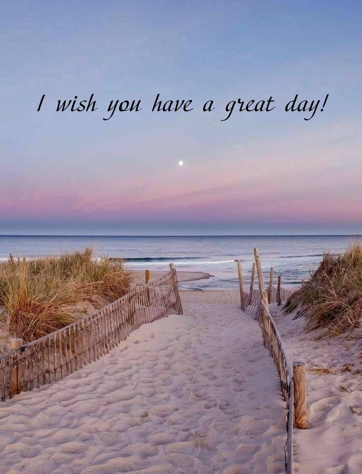 I wish you have a great day!