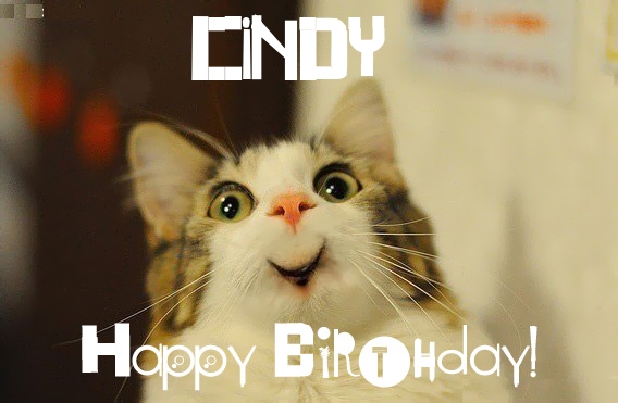 Funny Birthday for CINDY Pics