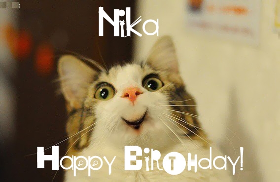 Funny Birthday for Nika Pics