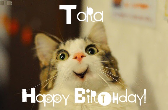 Funny Birthday for Tara Pics