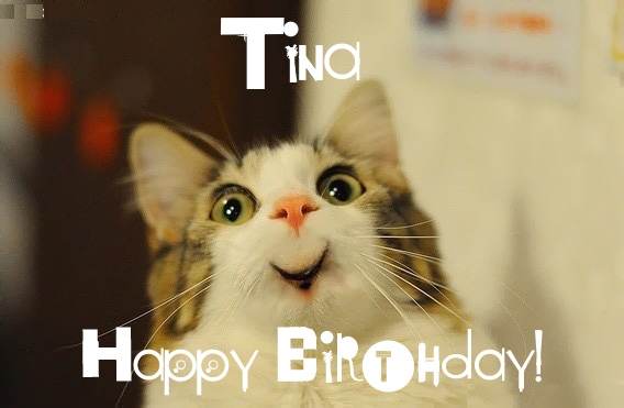 Funny Birthday for Tina Pics