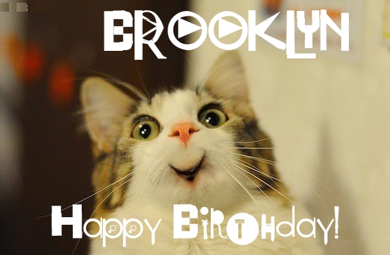 Funny Birthday for BROOKLYN Pics