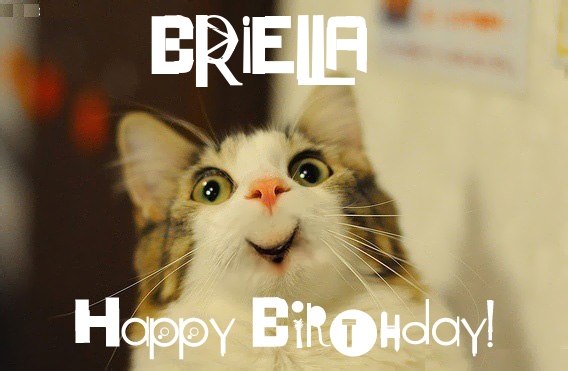 Funny Birthday for BRIELLA Pics