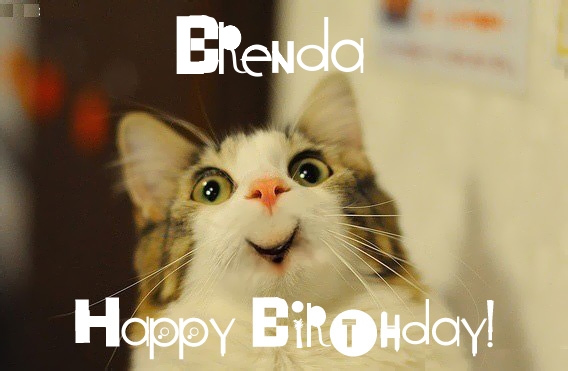 Funny Birthday for Brenda Pics