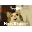 Funny Birthday for Neethu Pics
