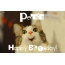 Funny Birthday for Persis Pics