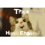 Funny Birthday for Tirzah Pics