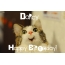 Funny Birthday for Darcy Pics