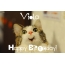 Funny Birthday for Viola Pics