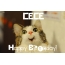 Funny Birthday for CECE Pics