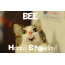 Funny Birthday for BEE Pics