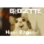 Funny Birthday for BRIDGETTE Pics