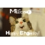 Funny Birthday for Millicent Pics