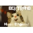 Funny Birthday for BERTRAND Pics