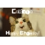 Funny Birthday for Callista Pics