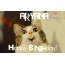 Funny Birthday for ARYANA Pics