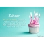 Happy Birthday Zaheer in pictures