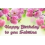 Happy Birthday Sabrina