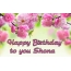 Happy Birthday Shona