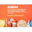 Congratulations for Happy Birthday of Azalea
