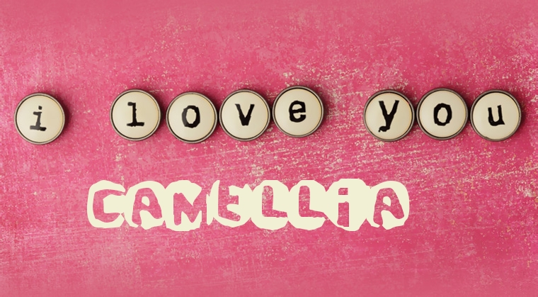 Images I Love You CAMELLIA