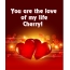 You are love of my life Cherry!