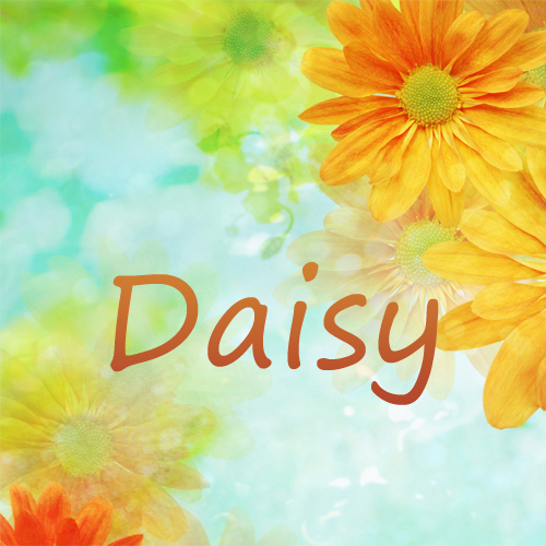 Pictures with names Daisy