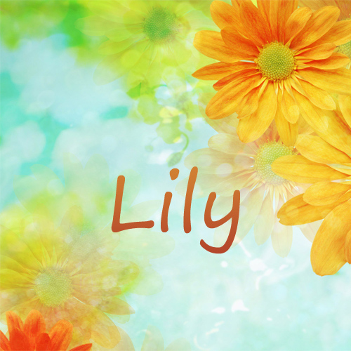 lily name wallpaper