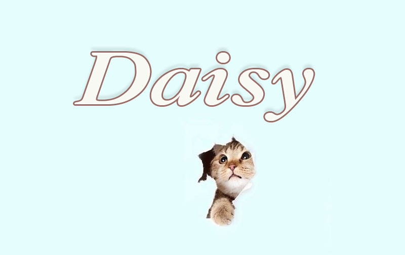 Pictures with names Daisy