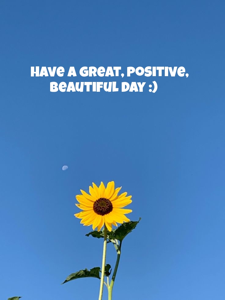 Have a great, positive, beautiful day :)