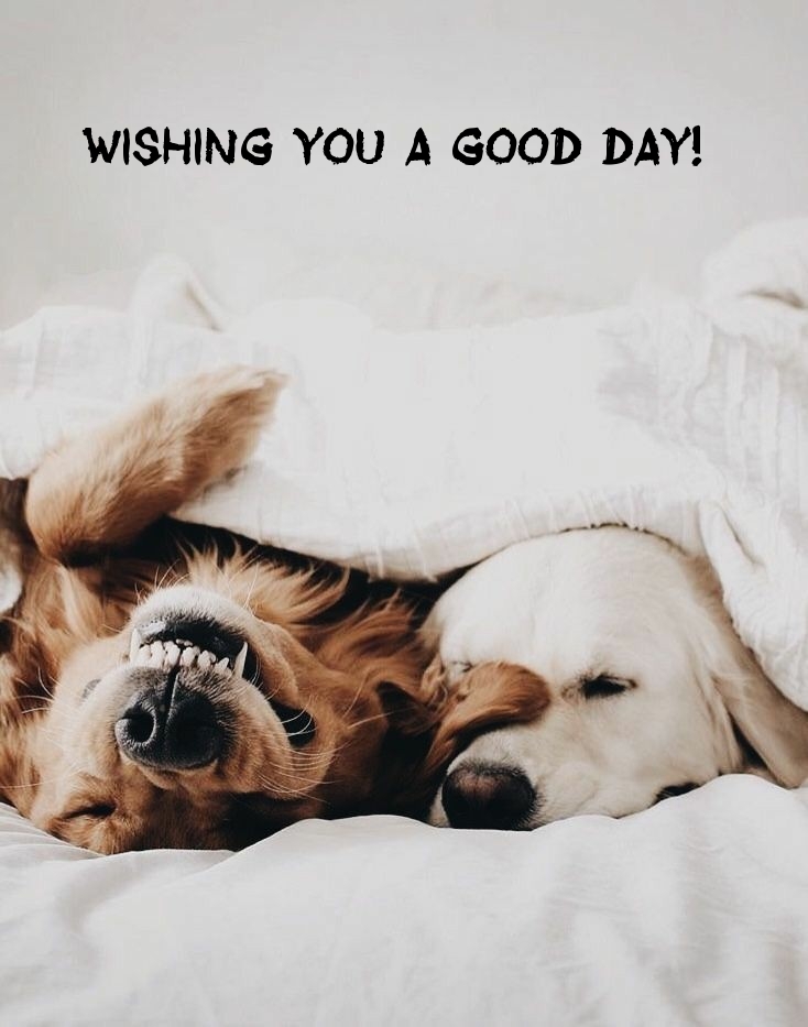 Wishing you a good day!