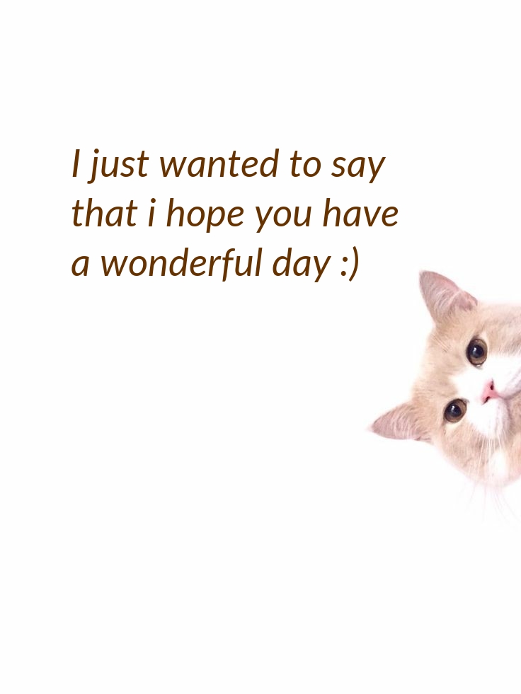 I just wanted to say that i hope you have a wonderful day :)