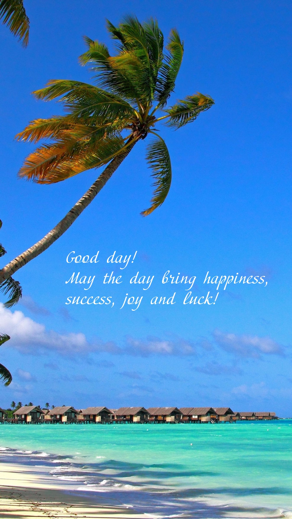 Good day! May the day bring happiness, success, joy and luck!
