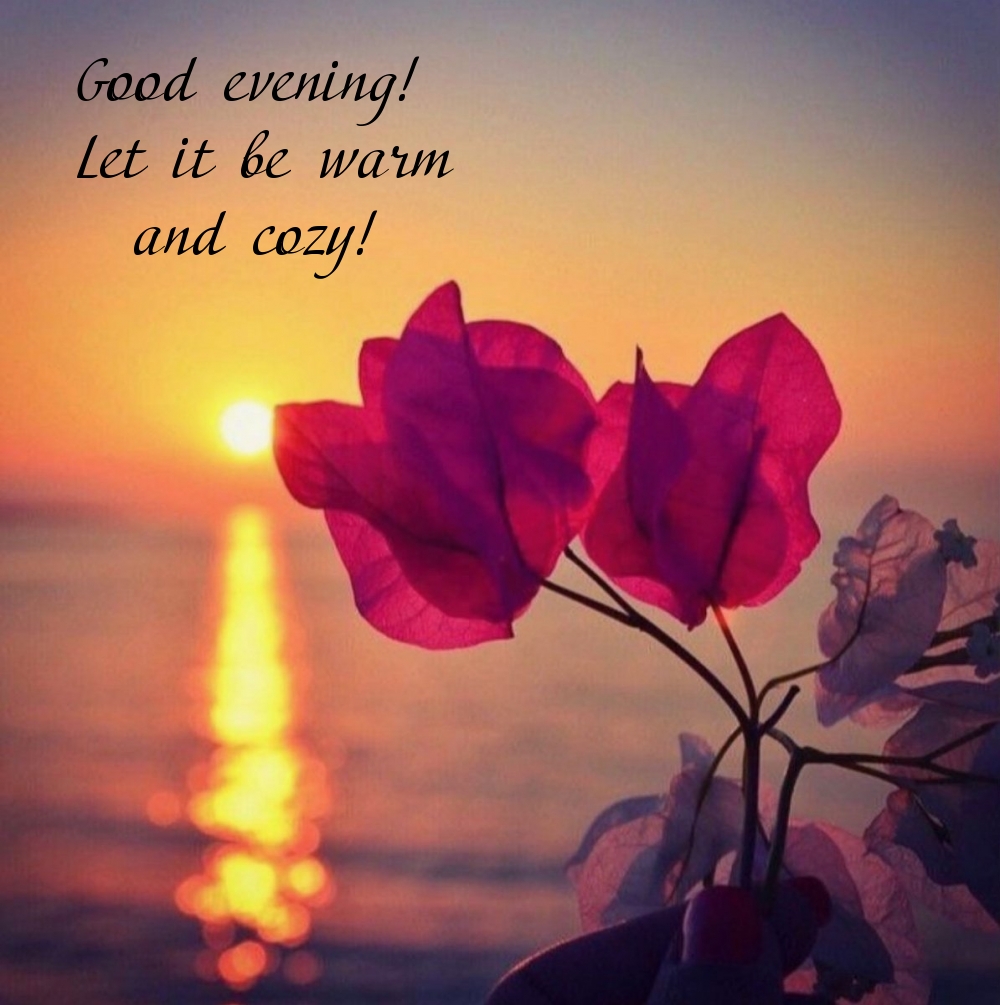 Good evening! Let it be warm and cozy!