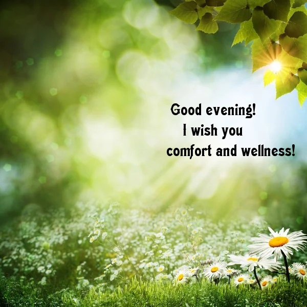 Good evening! I wish you comfort and wellness!