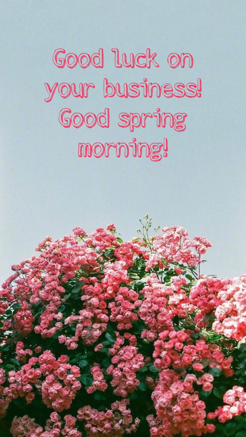 Good luck on your business! Good spring morning!