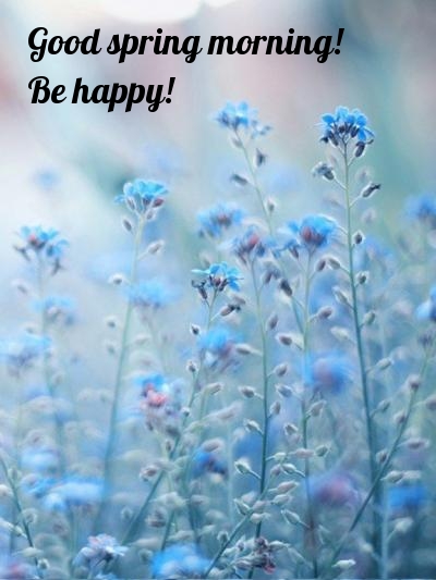 Good spring morning! Be happy!