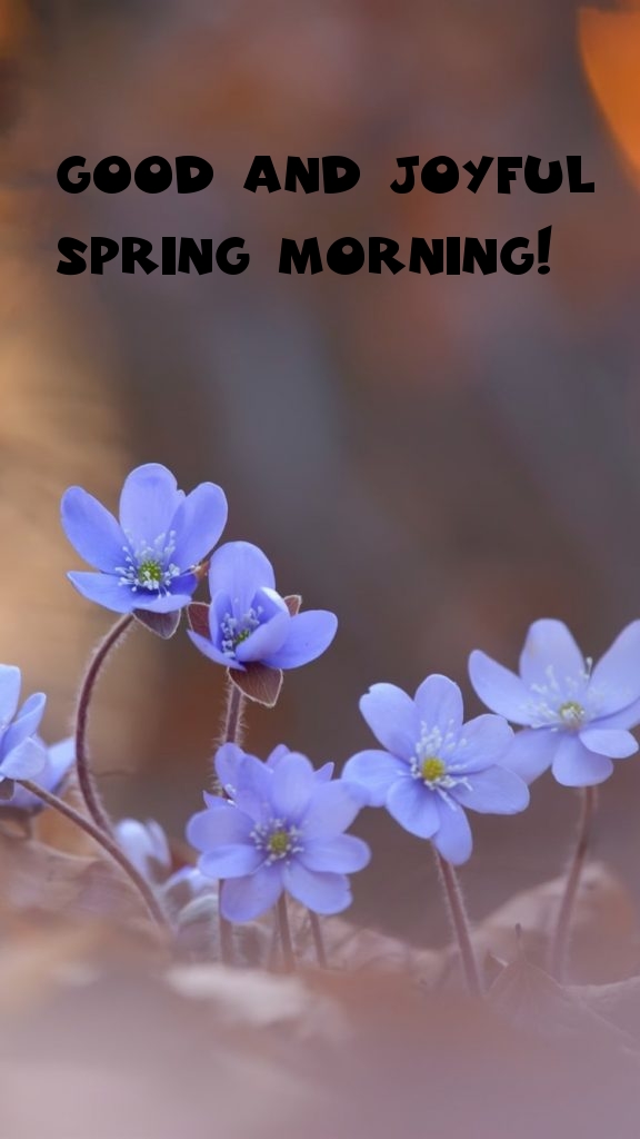 Good and joyful spring morning!