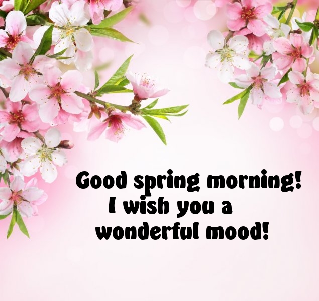 Good spring morning! I wish you a wonderful mood!