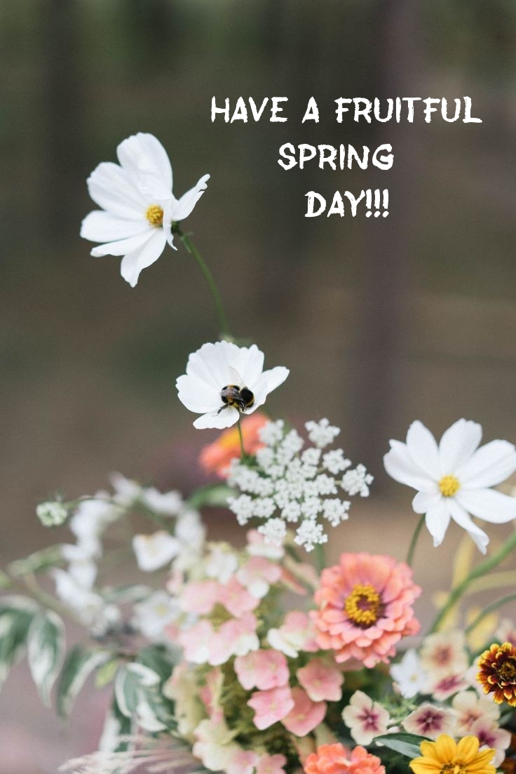Have a fruitful spring day!