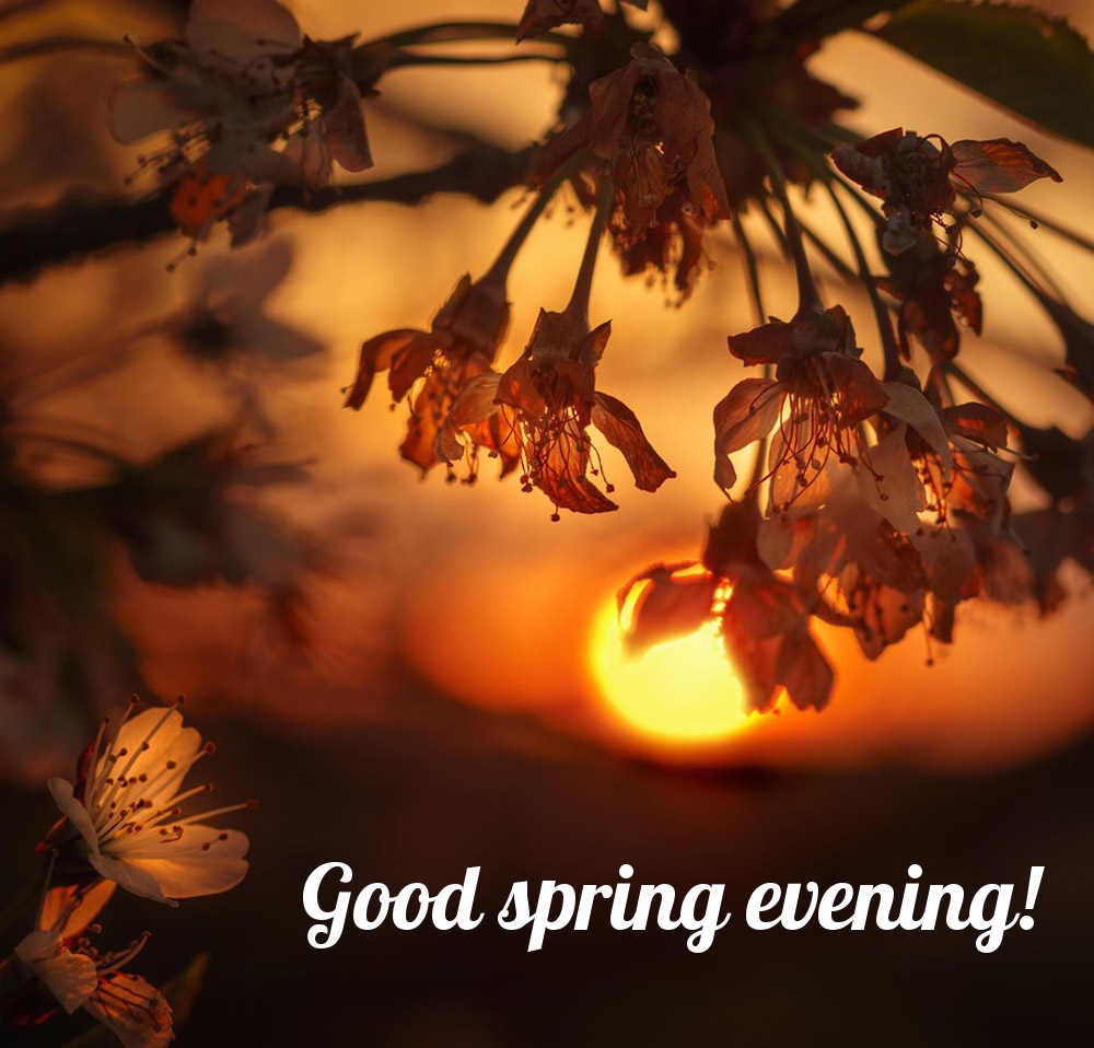 Good spring evening!