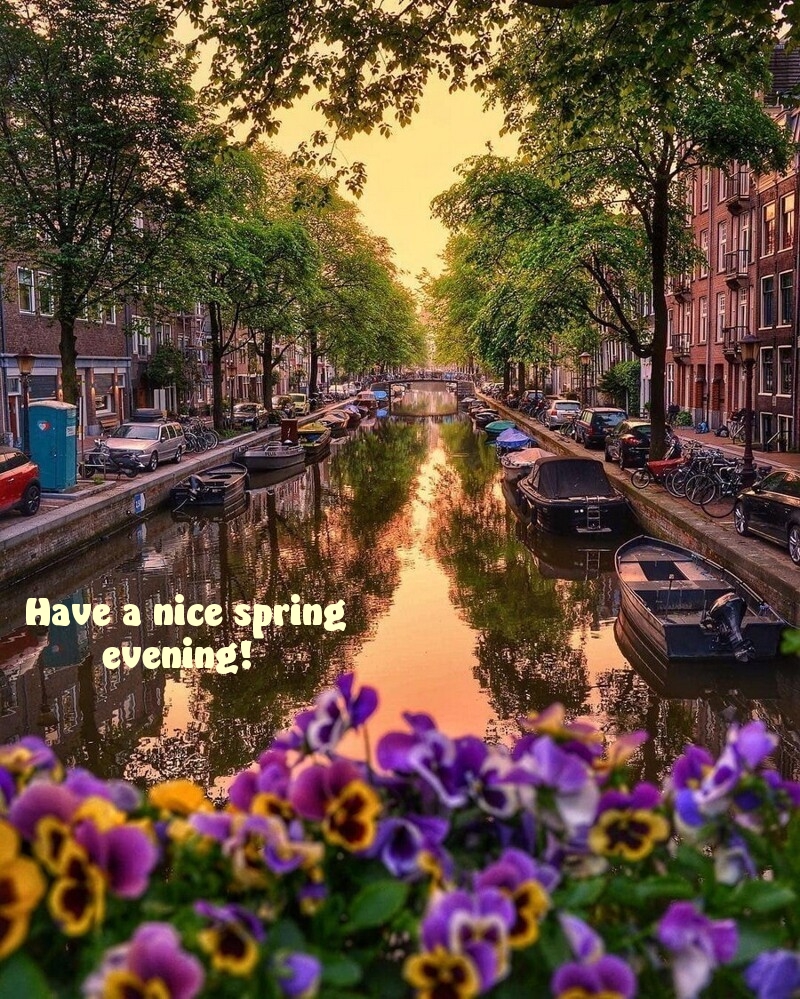 Have a nice spring evening!
