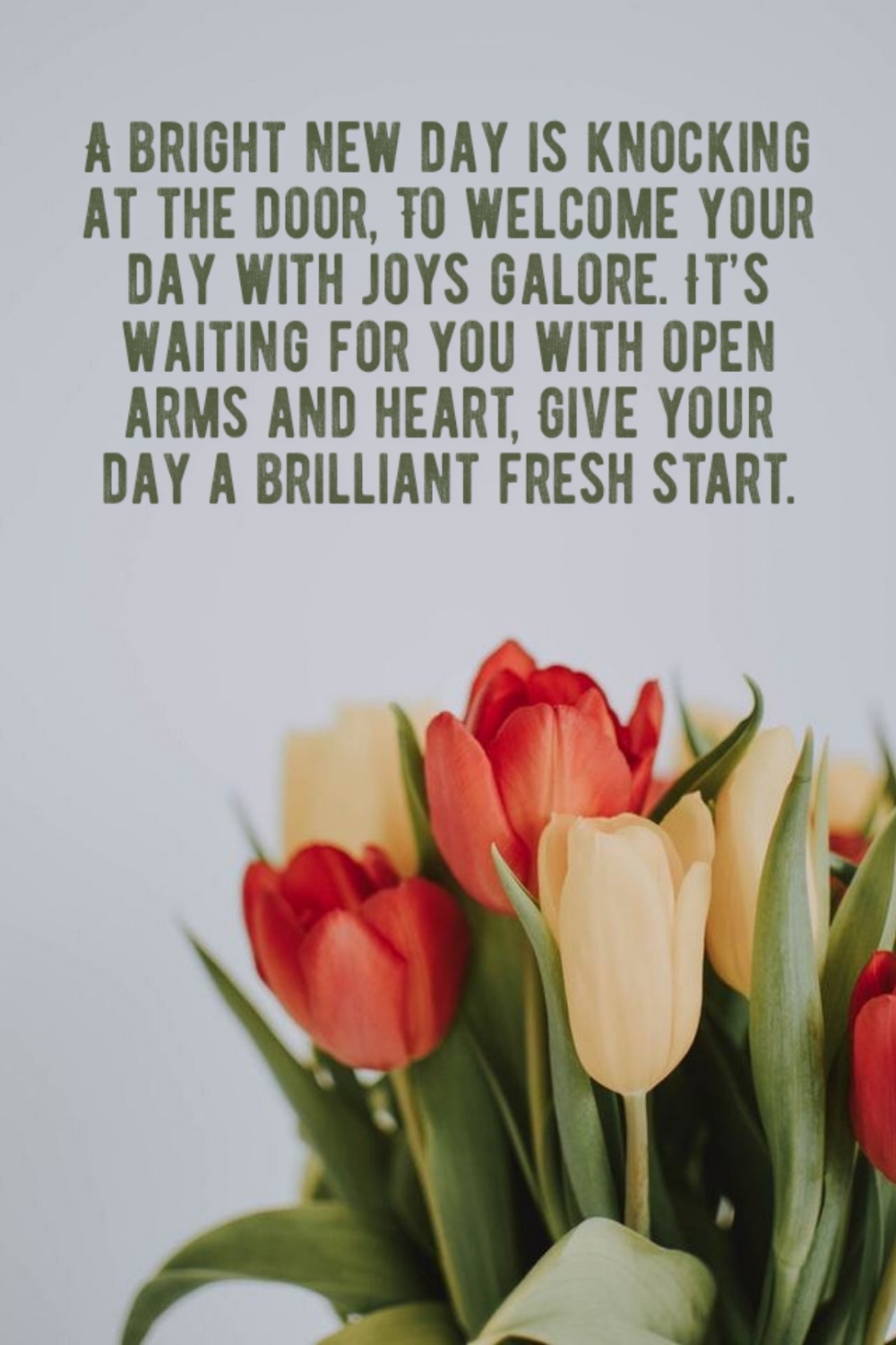 To welcome your day with joys galore.