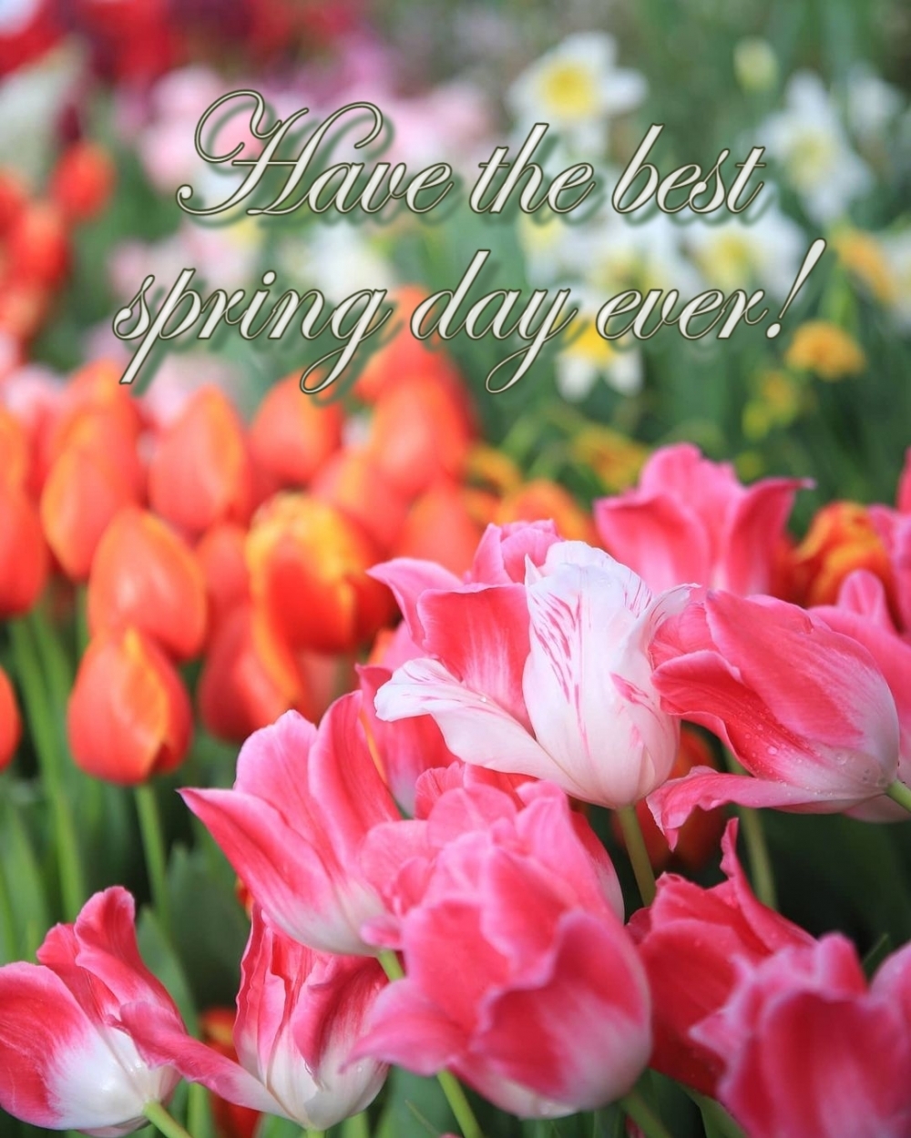 Have the best spring day ever!