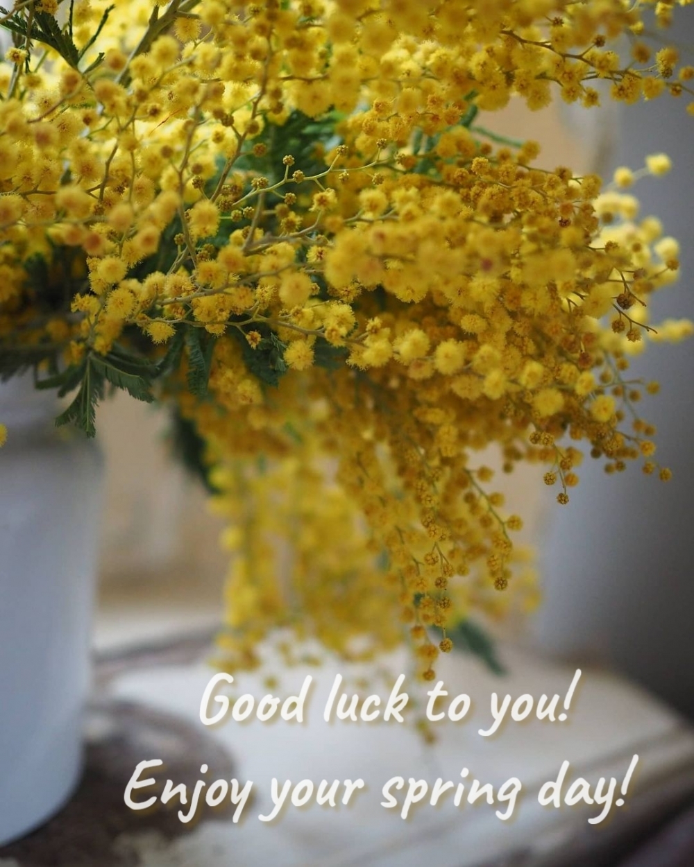 Good luck to you! Enjoy your spring day!