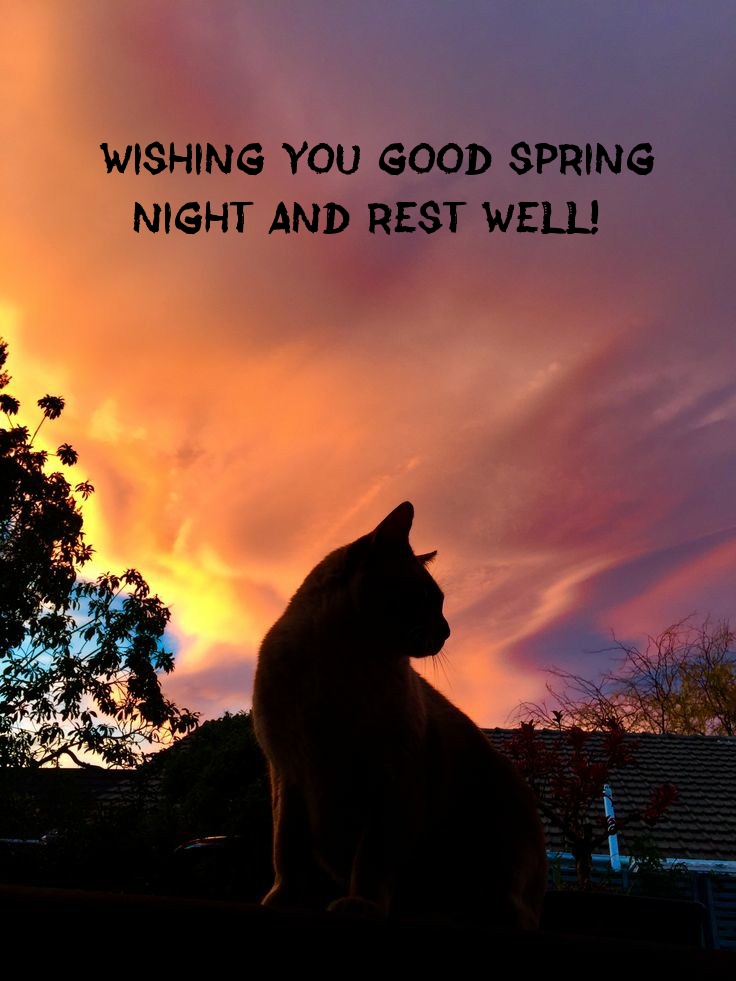 Wishing you good spring night and rest well!