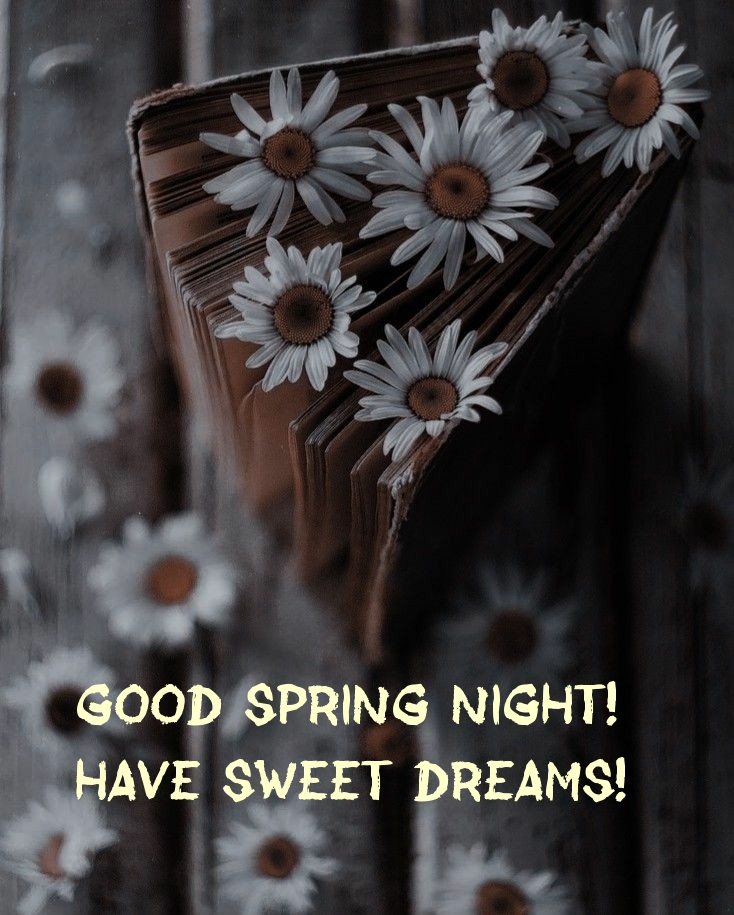 Good spring night! Have sweet dreams!