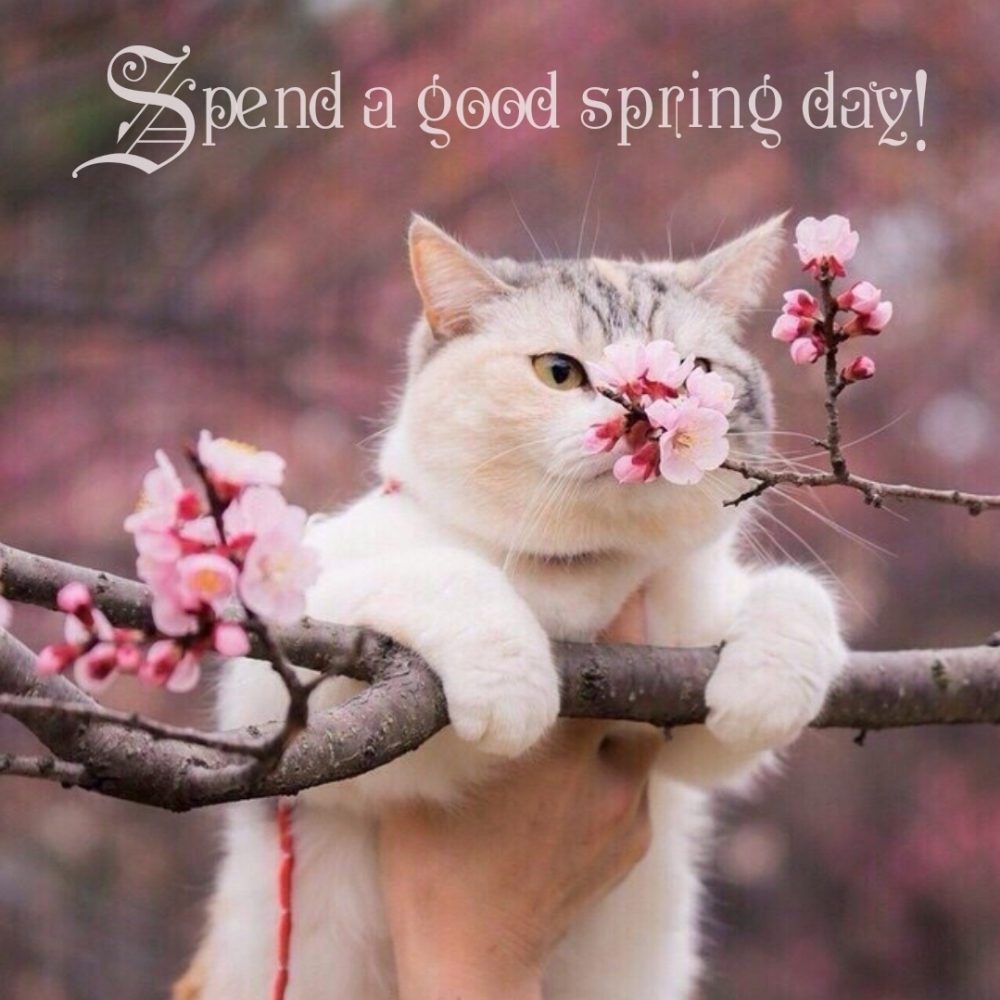 Spend a good spring day!