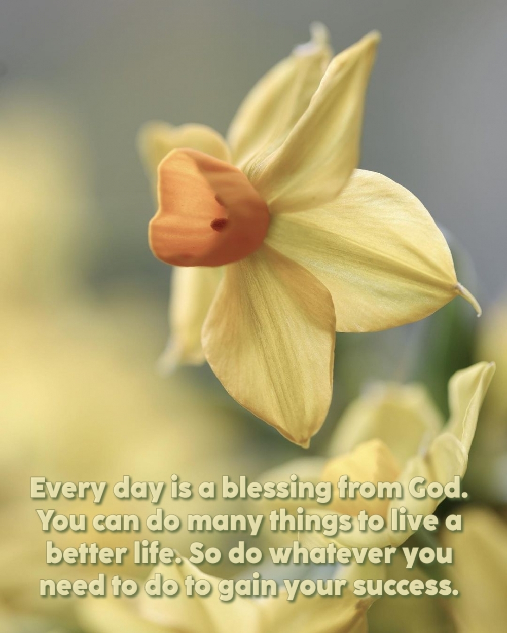 Every day is a blessing from God.