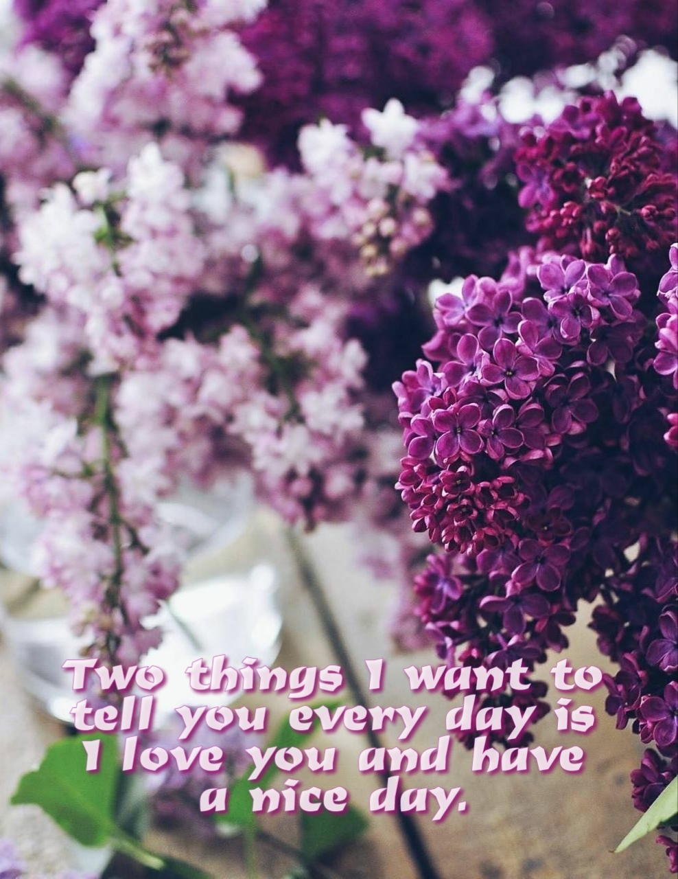 Two things I want to tell you every day is I love you